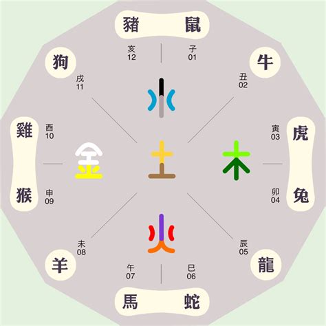 屬火動物|什么动物五行属火？